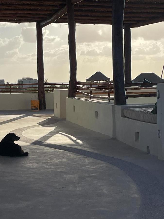Casa Molly Lejlighed Holbox Eksteriør billede